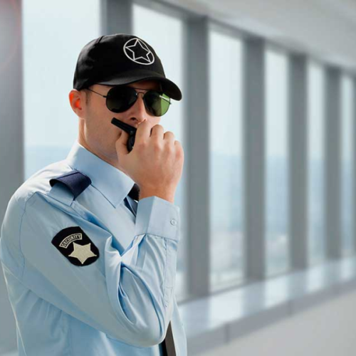 الحراسات الامنية